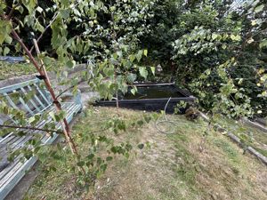 Photo 22- click for photo gallery